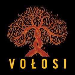 Vołosi