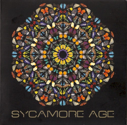 Sycamore Age
