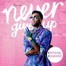 Never Give Up (filous remix)