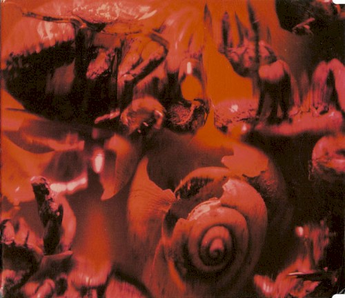 The Fall / Reload