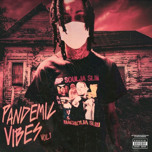 PANDEMIC VIBES VOL.1