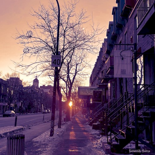 Flocon D’hiver - The Winter Lofi Touch