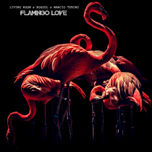 Flamingo Love