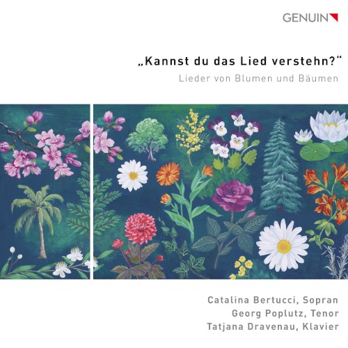 „Kannst du das Lied verstehn?“