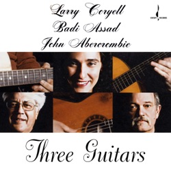 3 Guitars