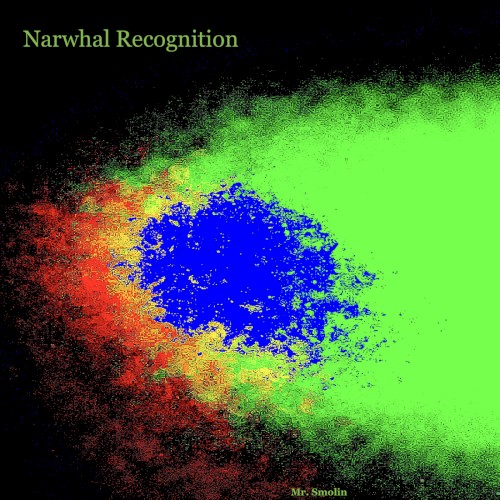 Narwhal Recognition