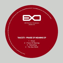 Praise of Meaning EP