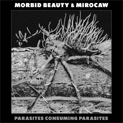 Parasites Consuming Parasites