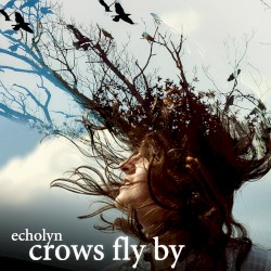 Crows Fly By
