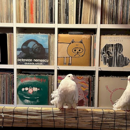 2025-02-20: NTS Radio