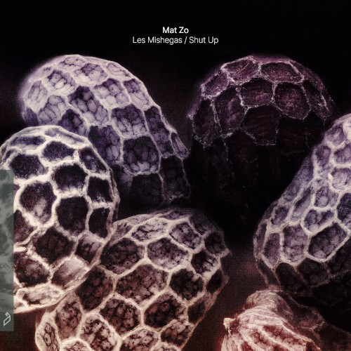 Les Mishegas / Shut Up