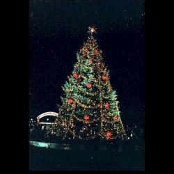 Xmas