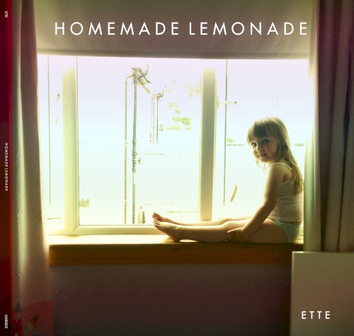 Homemade Lemonade