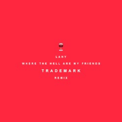 Where the Hell Are My Friends (Trademark remix)