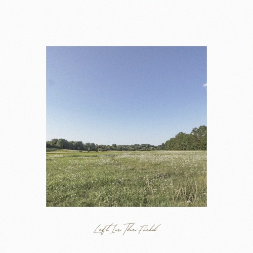Left in the Field