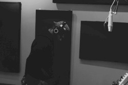 Shade 45 Freestyle
