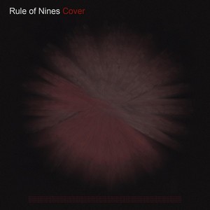 Rule of Nines