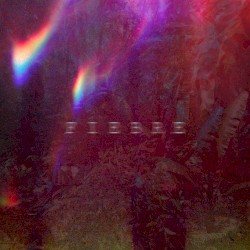 Fiebre