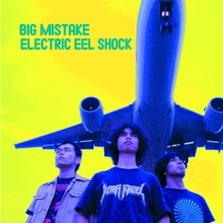 Big Mistake