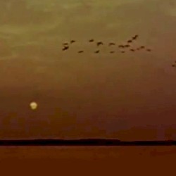 Southward Journey