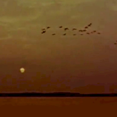 Southward Journey