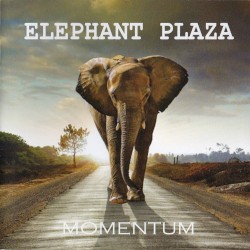 Momentum