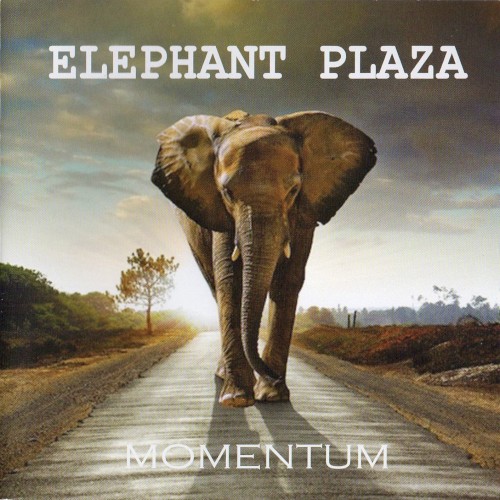 Momentum