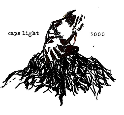 5000/Cape Light Split