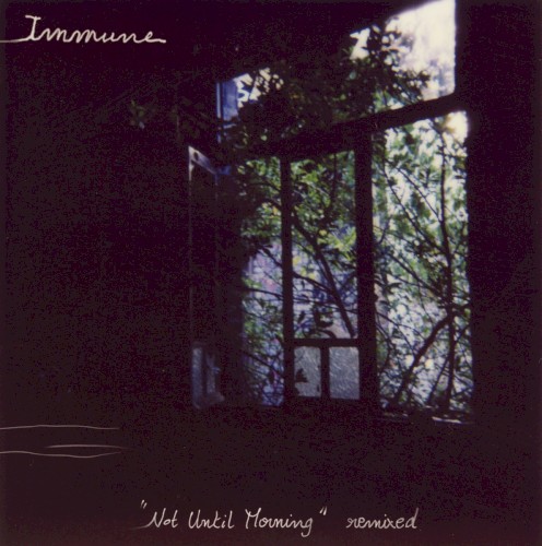 "Not Until Morning" Remixed