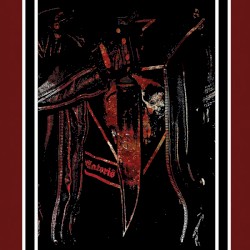 Suicidal Allegance