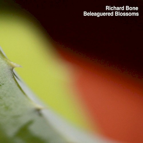 Beleaguered Blossoms (Selected Artifacts 1993-2009)