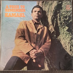 A Voice To Remember