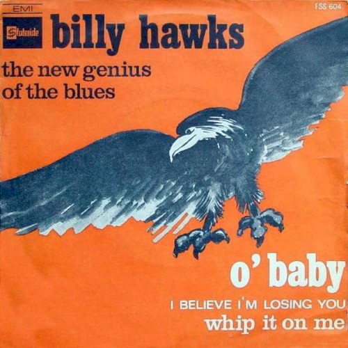 The New Genius Of The Blues