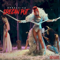Srećan Put