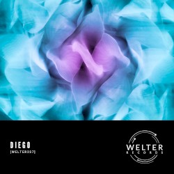 WELTER237