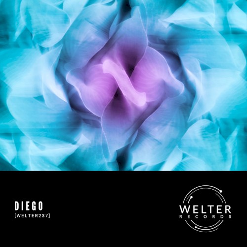 WELTER237