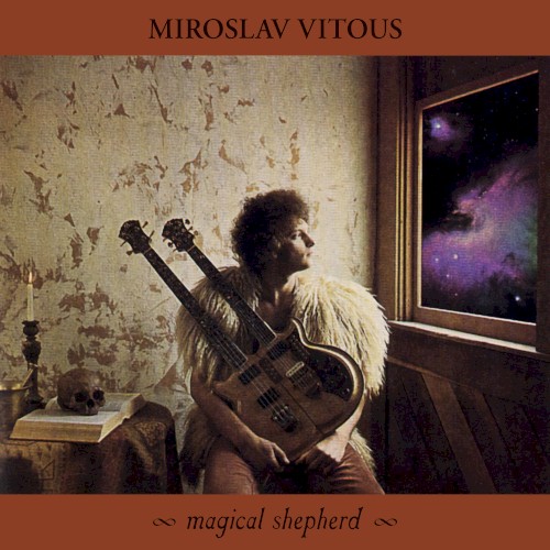 Magical Shepherd