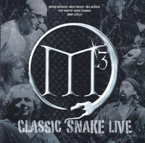 Classic Snake Live