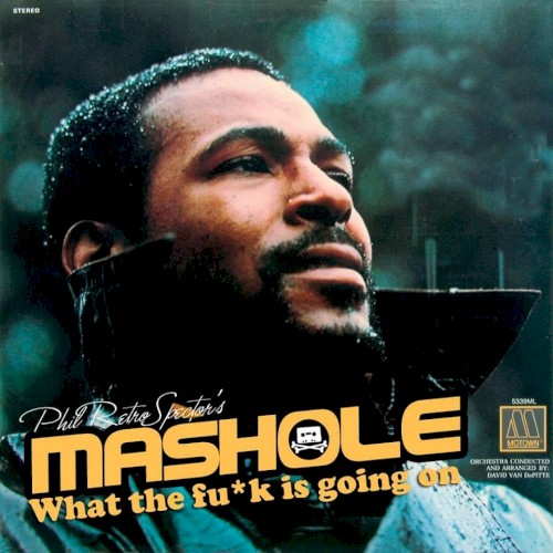 Mashole, Vol. 12: What the Fu*k Is Going On