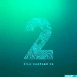 Silk Sampler #2