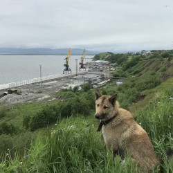 Музыкальная открытка