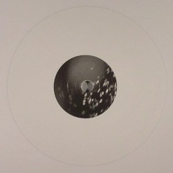 AVN #004