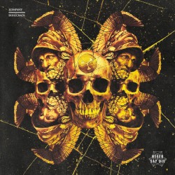 Skullcrack