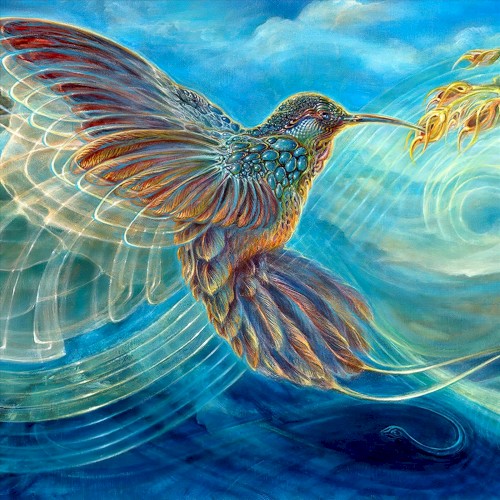 Colibri dorado