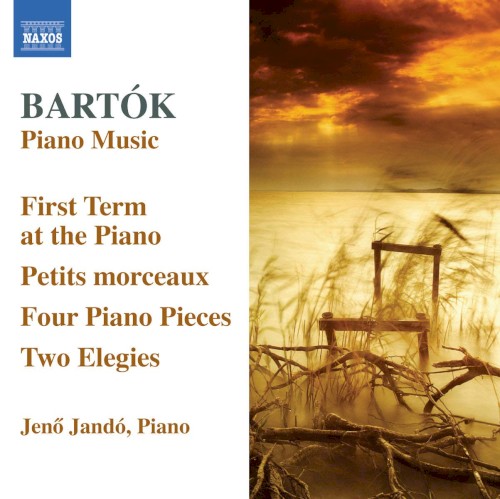 Piano Music Vol. 6
