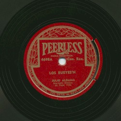 Los bueyes'n / Voy de gallo