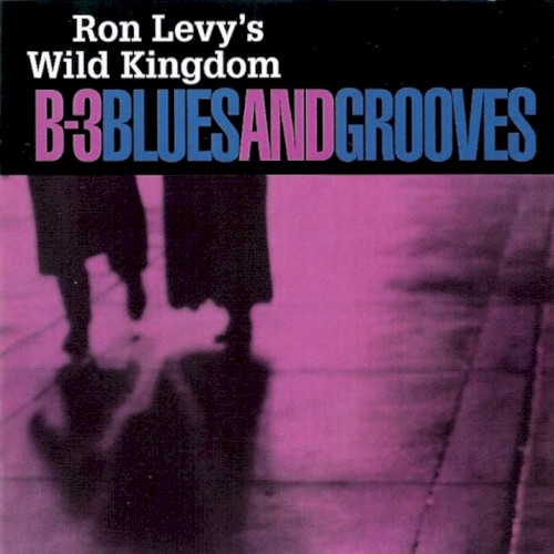 B-3 Blues and Grooves
