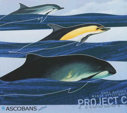 Projekt C