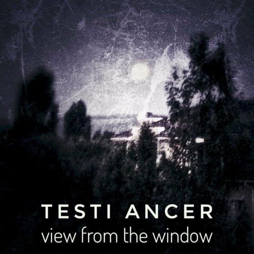 View From The Window