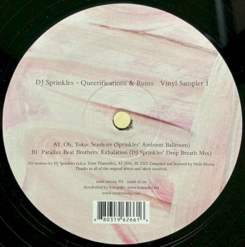 Queerifications & Ruins Vinyl Sampler 1